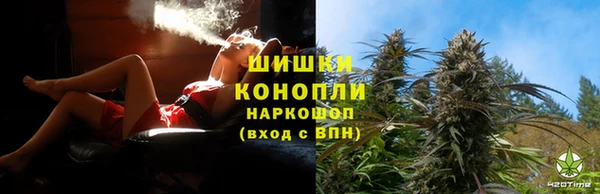 spice Новодвинск