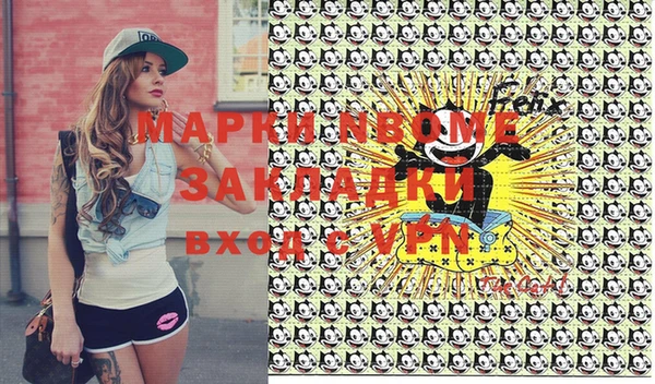 a pvp Новозыбков