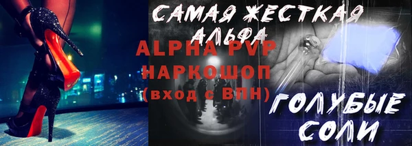 spice Новодвинск