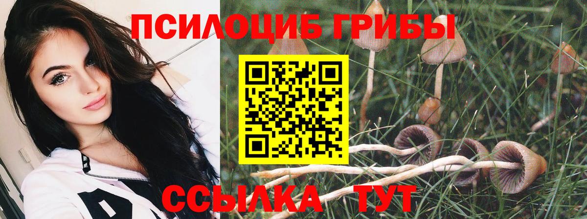 где купить   Вход с VPN  Анапа  Псилоцибиновые грибы Psilocybine cubensis 
