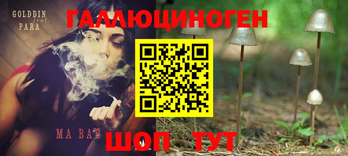 Псилоцибиновые грибы Psilocybe  Анапа  Псилоцибиновые грибы мухоморы 