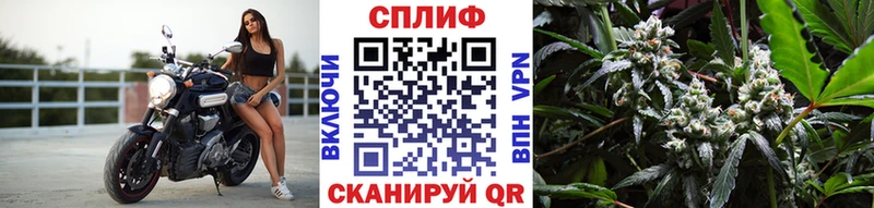 Конопля SATIVA & INDICA  Анапа 